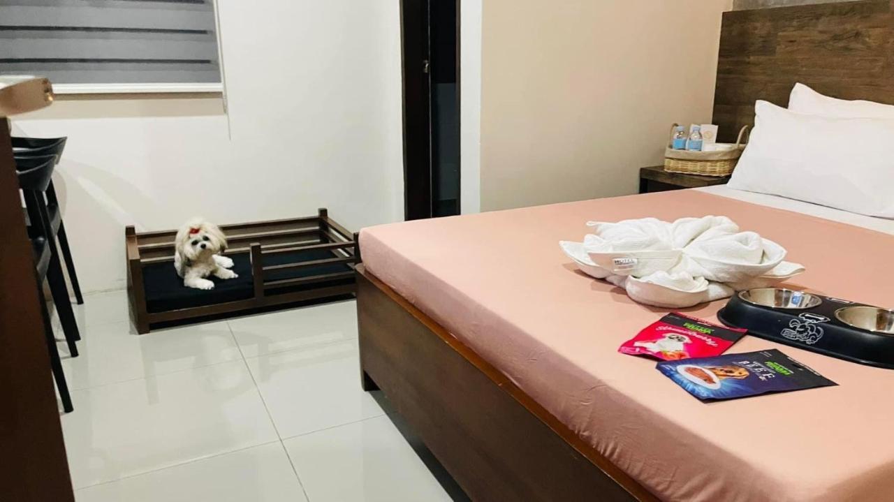 باكولود A&E Apartelle المظهر الخارجي الصورة