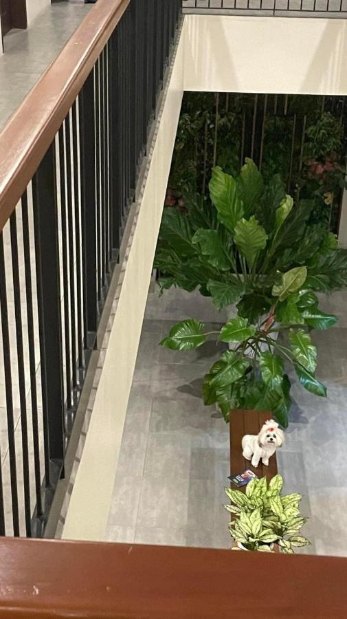 باكولود A&E Apartelle المظهر الخارجي الصورة